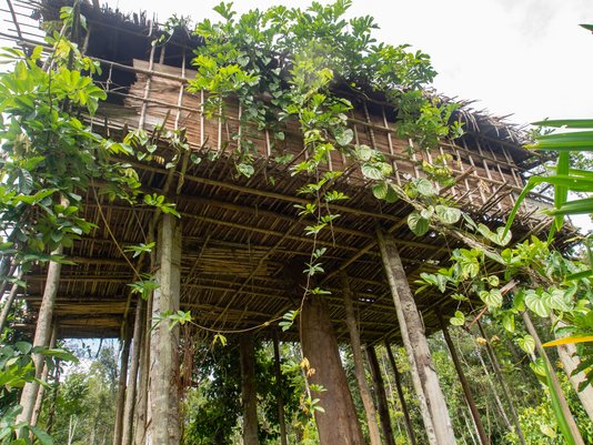 baumhaus-haus-baum-garten-bauen-holz-21