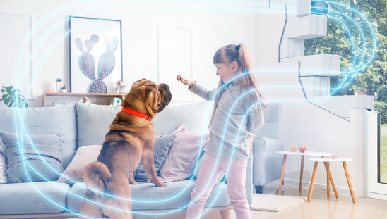 Town-Country-Haus-Inklusivausstattung-Haustechnik